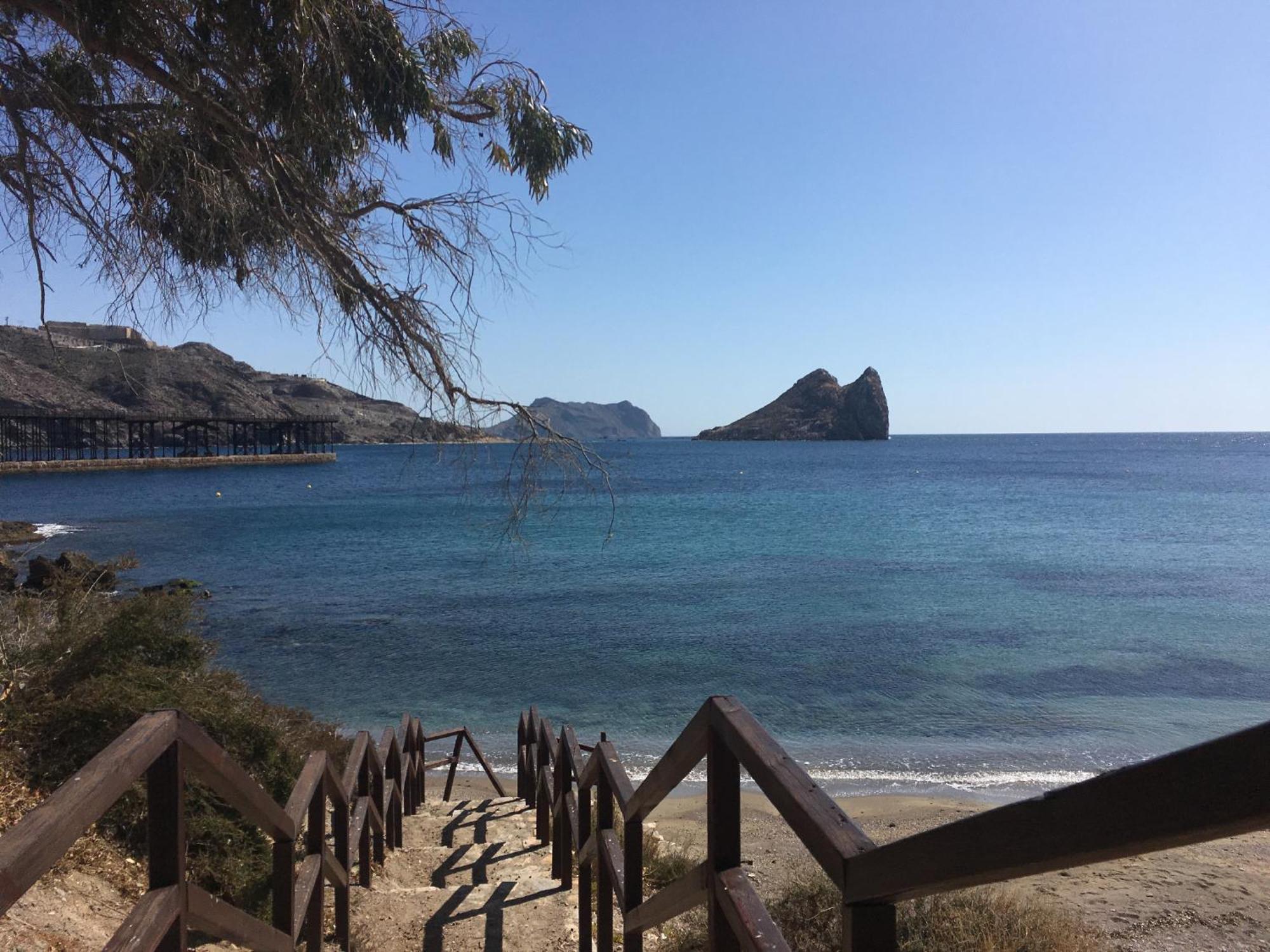 Geraneos Daru * Águilas